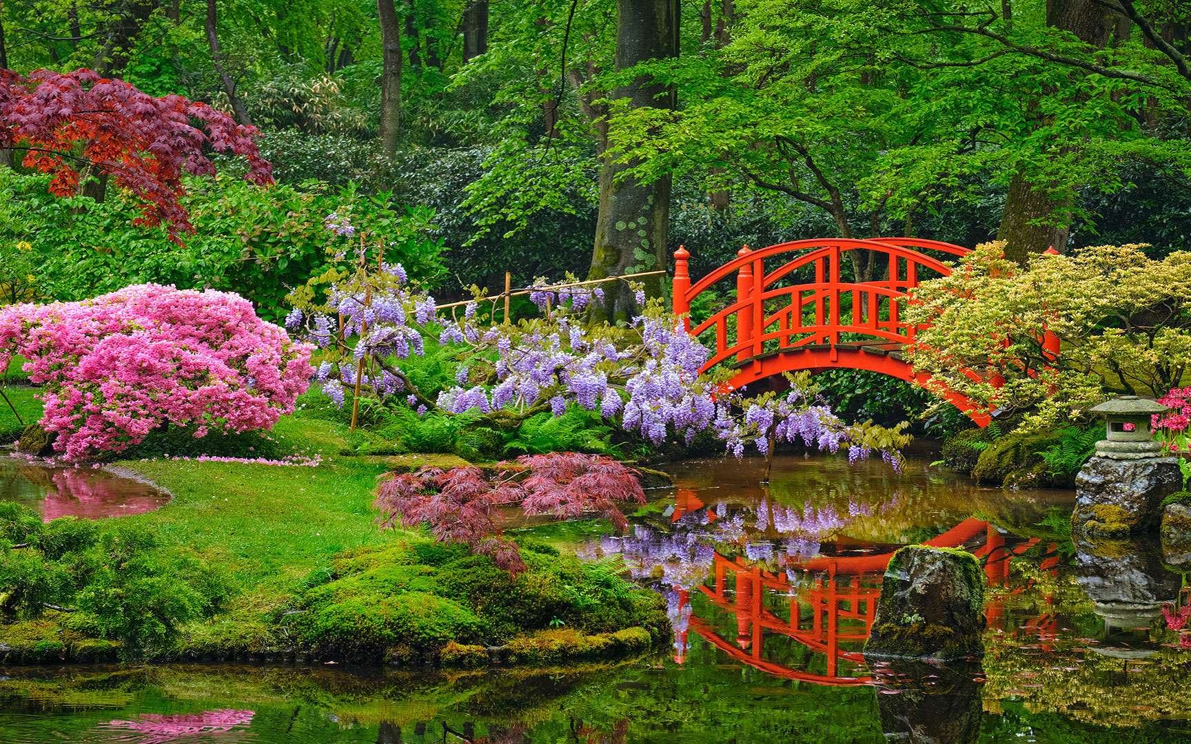 Jardin A La Japonaise - www.inf-inet.com