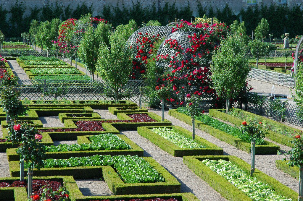 Jardin écologique