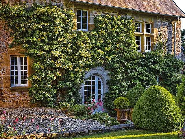 Plantes sur une façade de maison avec minéral