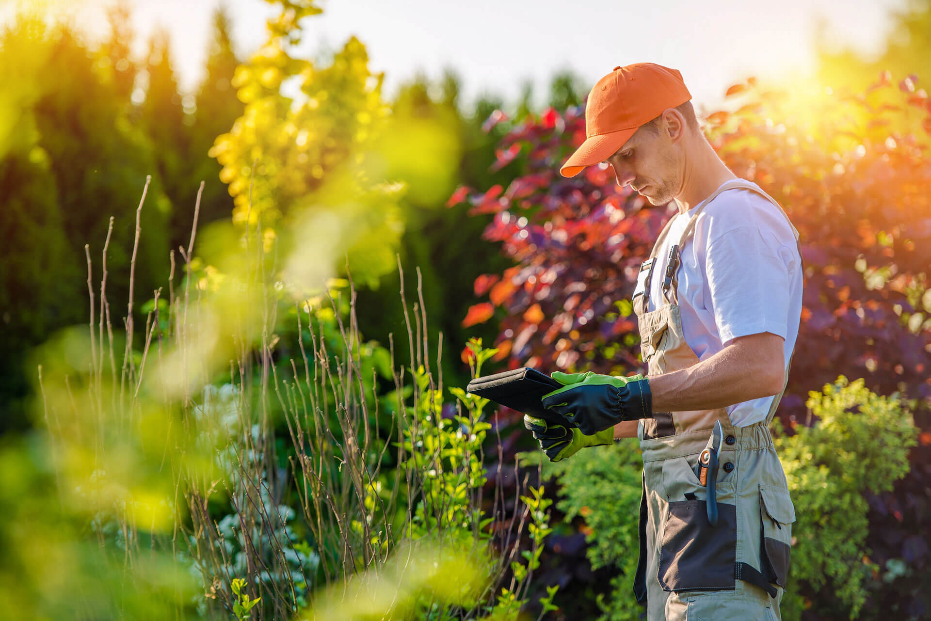 Services de jardinage, débroussaillage, jardinier et entretien